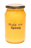Miód Lipowy Gęsty  (słoik szklany 1,2 kg) - Karton 12 sztuk