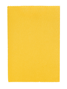 Węza Wielkopolska 1/2